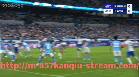 857直播看球平台-2008年NBA火箭队赛季全纪录与球员数据